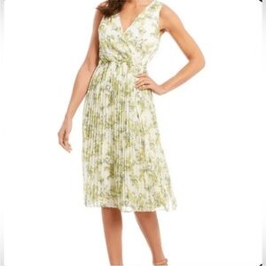 Alex‎ Marie Plus Size Pleated Floral Chiffon Dress